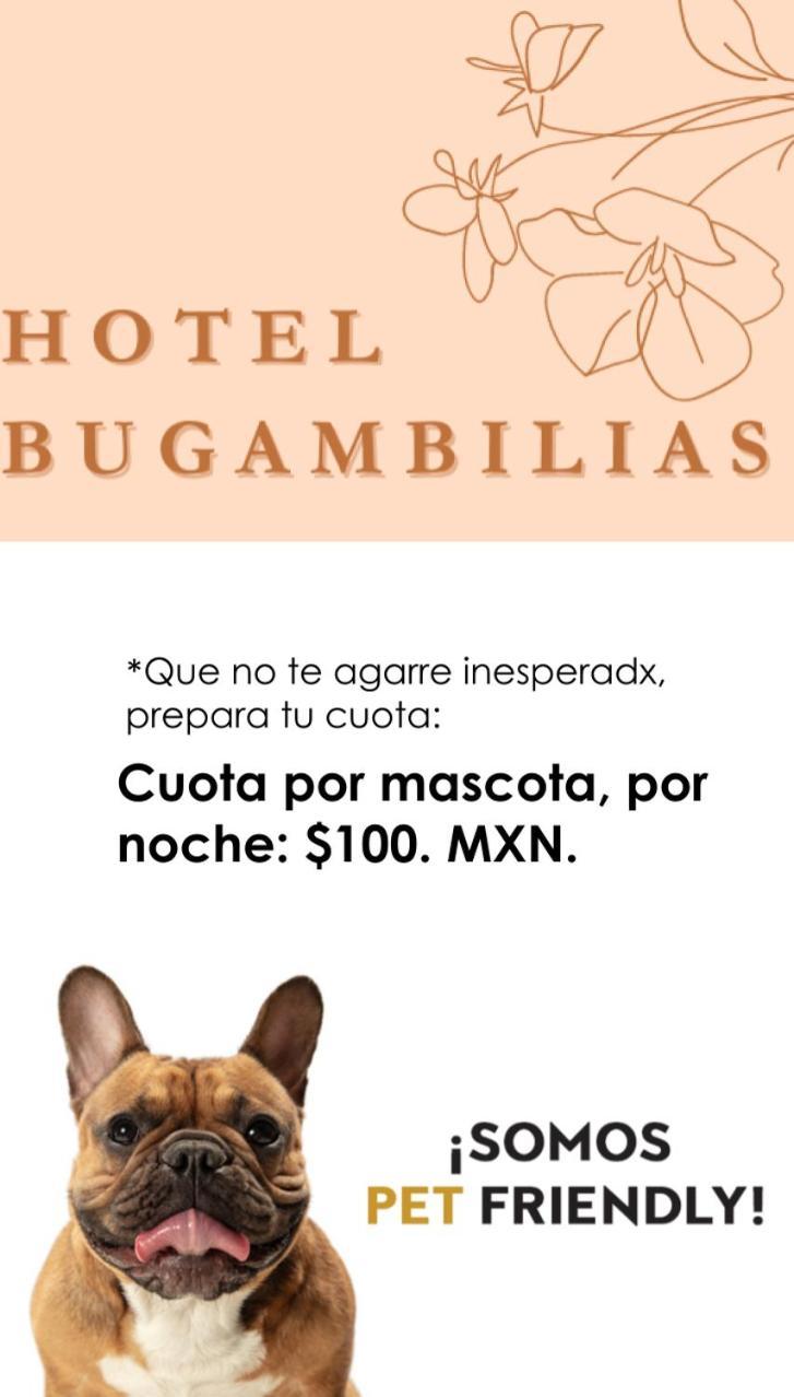 Hotel Bugambilias Oaxaca Bagian luar foto